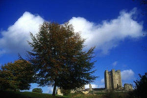 View of Castle from the Low Road - Free Foto.com